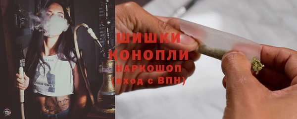 бошки Няндома