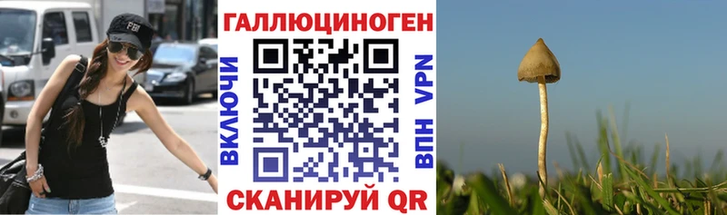 Галлюциногенные грибы мицелий  Комсомольск 